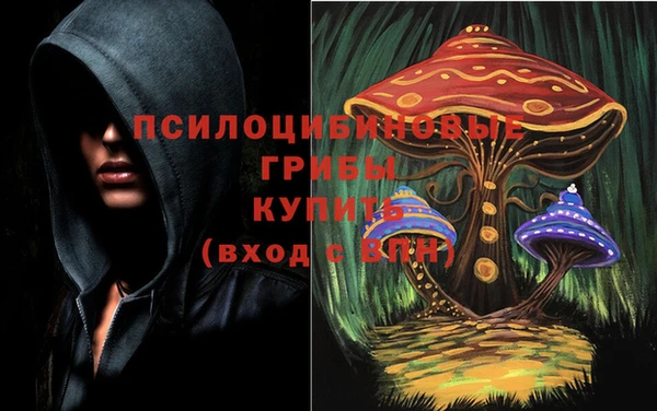 мяу мяу мука Волоколамск