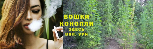мяу мяу мука Волоколамск