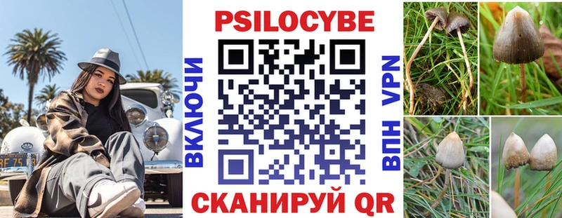 Псилоцибиновые грибы Psilocybine cubensis наркота блэк спрут ссылка Монино